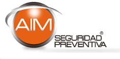 aimseguridad.com